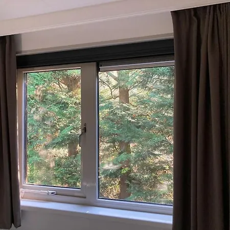 Luxe Met Airco Bij Bos En Zwemwater Hoevelaken