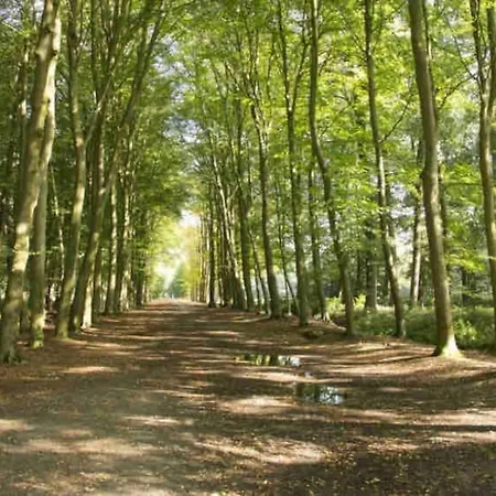 Luxe Met Airco Bij Bos En Zwemwater Chalet
