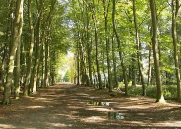 Luxe Met Airco Bij Bos En Zwemwater Domek alpejski